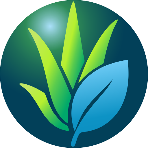 aloe y laurel